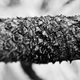 Image for article titled Shooting Challenge Freelensing Gallery 2
